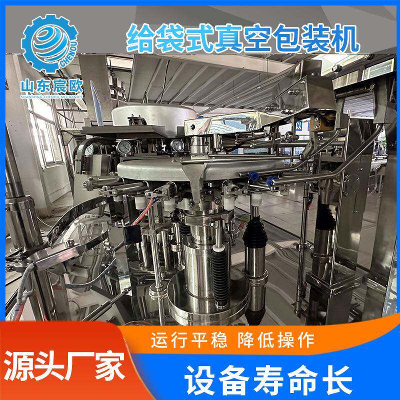 固体颗粒自动包装机给袋式真空包装机全自动玉米海参真空包装机