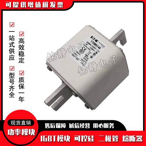 170M6017 170M6018 170M6019 170M6020巴斯曼熔断器现货170M6021
