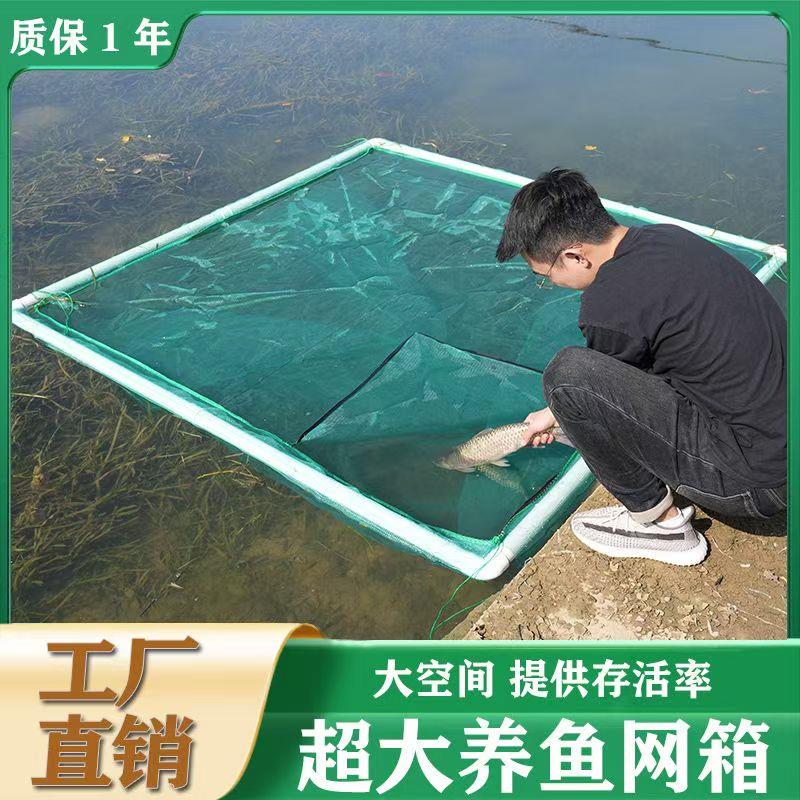 悬浮网箱养鱼网箱存鱼不伤鱼苗黄鳝养殖隔离暂养网箱活鱼网箱折叠