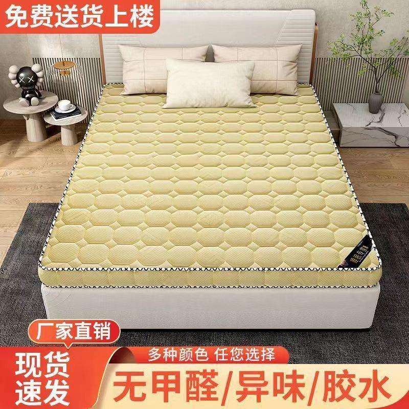 床垫棕垫椰棕环保双人1.8m偏硬1.5m加厚棕榈经济订作0.9m折叠