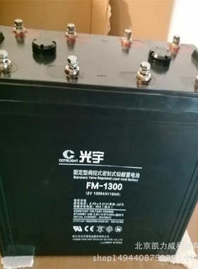光宇蓄电池6-GFM-50C光宇免维护蓄电池12V50AH