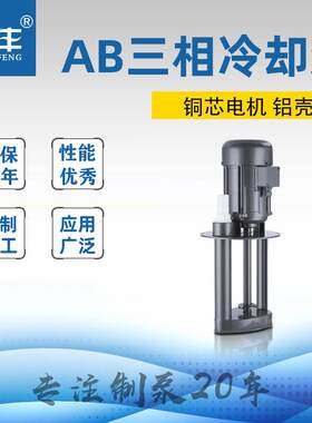机床冷却泵 机油泵40W车床泵AB-25/AB-100机床油泵三相电泵