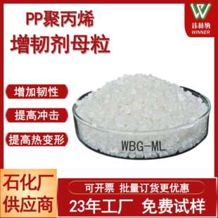 炜林纳WBG-ML均聚PP成核剂母粒增韧耐热耐压β成核剂母粒