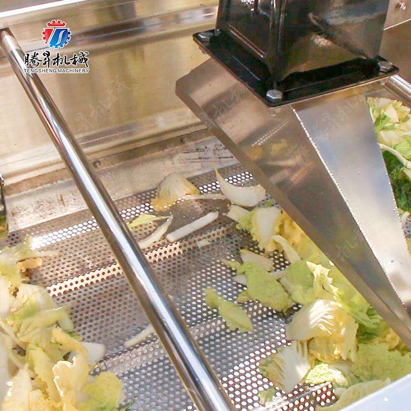 菜叶类清洗风干线 水果瓜类清洗 高压喷淋输送带 加工生产线