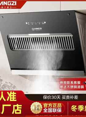 扬子小型抽油烟机家用厨房大吸力小尺寸吸烟机出租房脱排抽烟机