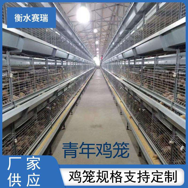 H型青年鸡笼立式养殖场自动化养殖设备层叠式养鸡笼鸽子笼鹌鹑笼