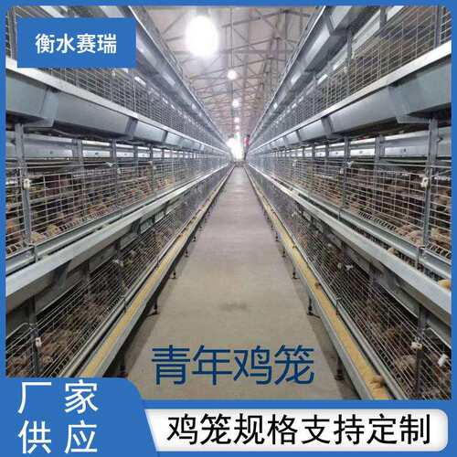 H型青年鸡笼立式养殖场自动化养殖设备层叠式养鸡笼鸽子笼鹌鹑笼