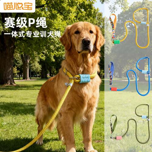 遛狗防打结P绳中大型犬牵引金毛狗狗链训犬防爆冲牵引绳宠物用品