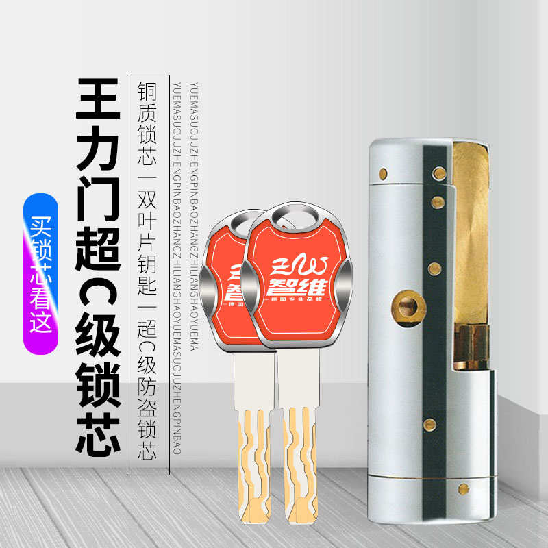 王力门锁芯特能锁芯特能双头固心安防齿轮安防齿轮锁芯王力固芯铜