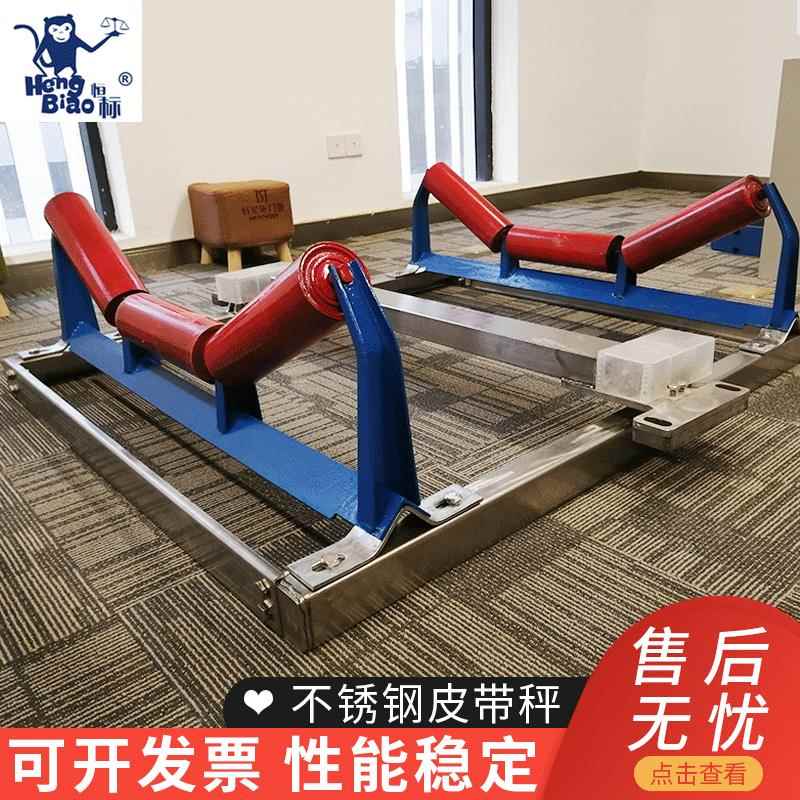 高精度皮带计量器厂家直发输送带计量秤不锈钢皮带秤