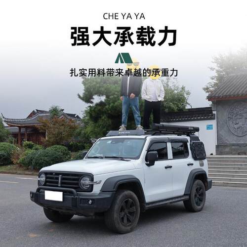 哈弗大狗猛龙H5H9车顶行李架坦克300400平台横杆行李框爬梯500700