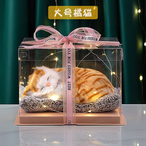 活性炭女朋友学生创意礼品套组