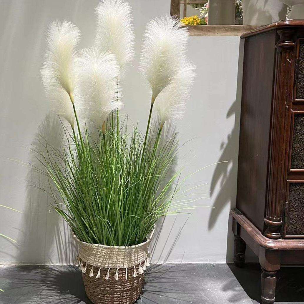 含阳仿真 芦苇高密度芦苇盆景蒲公英芦苇草盆景园林摄影北欧风