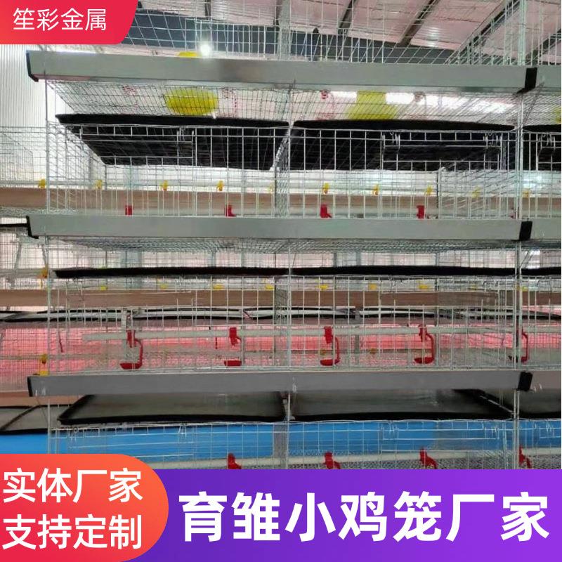 小鸡笼养殖多层叠育雏鸡笼立式一体雏鸡养殖笼家禽养殖养鸡育雏笼