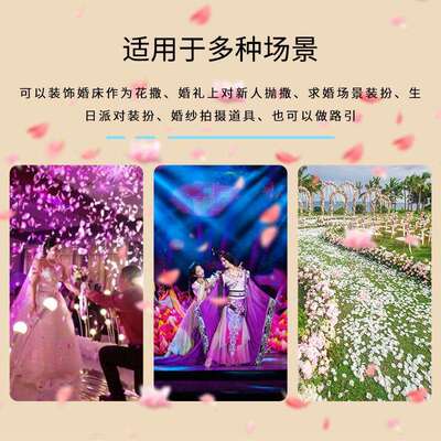 婚礼现场大型撒花机酒吧清吧店庆自动飘花机舞台亮片彩纸机花瓣机