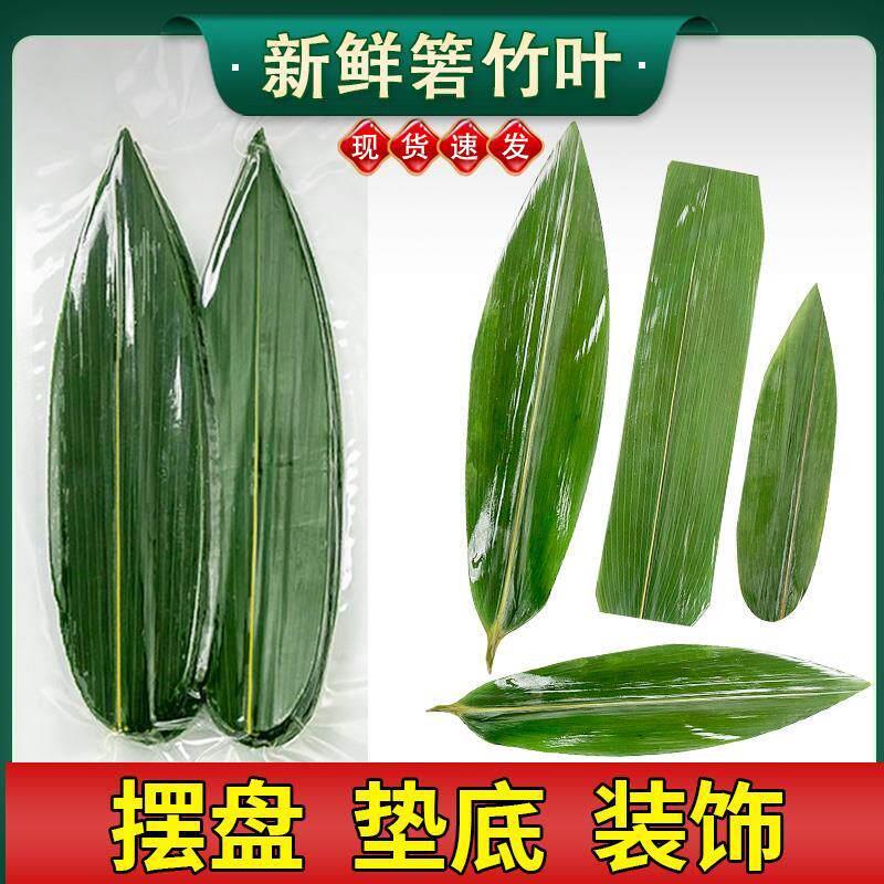 现货粽叶新鲜粽子叶小号箬叶子100片摆盘干棕叶竹叶烤肉刺身装饰