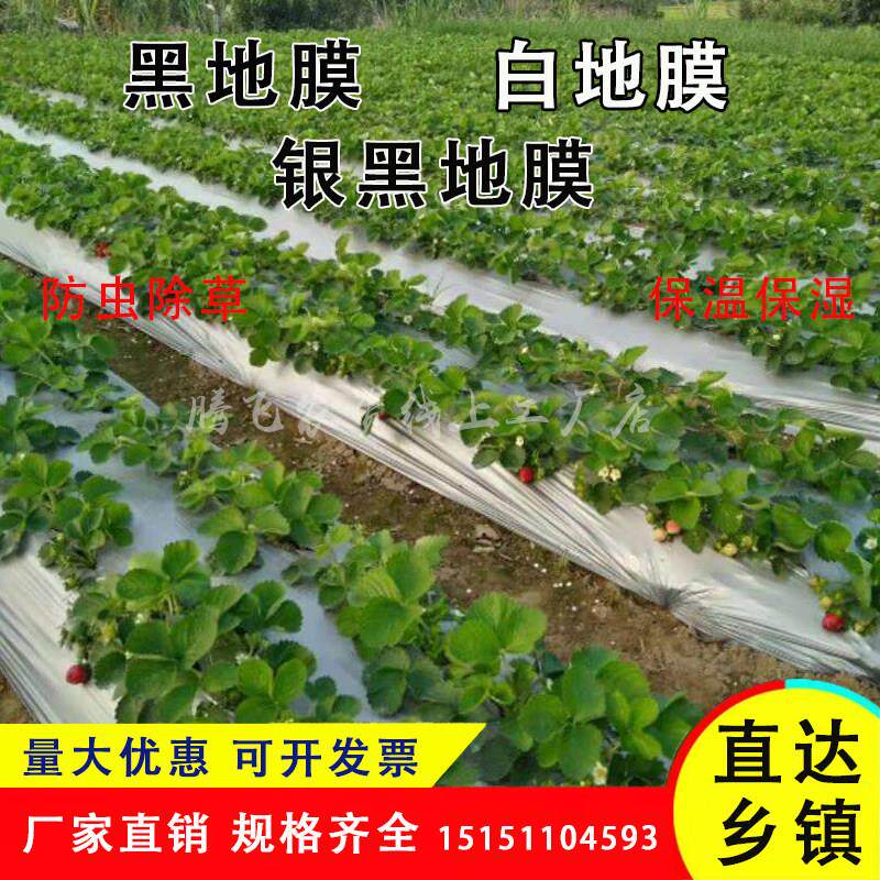 农用黑色除草膜银黑地膜白色保温地膜加厚薄膜果树果园草莓塑料膜