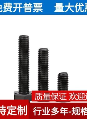 M8 304不锈钢黑色外六角螺栓 镀黑锌全牙单头六角螺丝DIN933