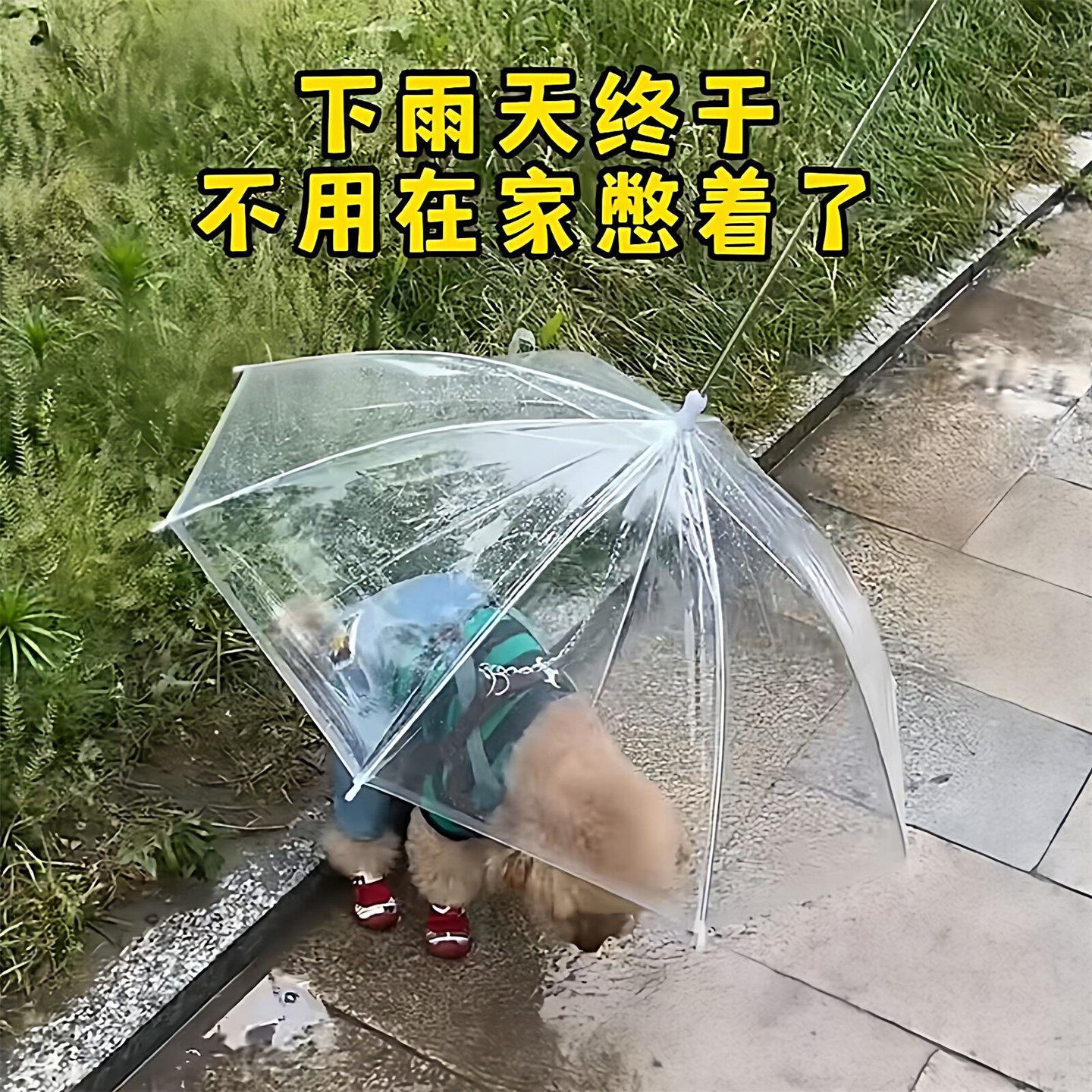 下雨天遛狗神器!宠物雨伞泰迪中小型犬可携式透明防水伞含牵引链