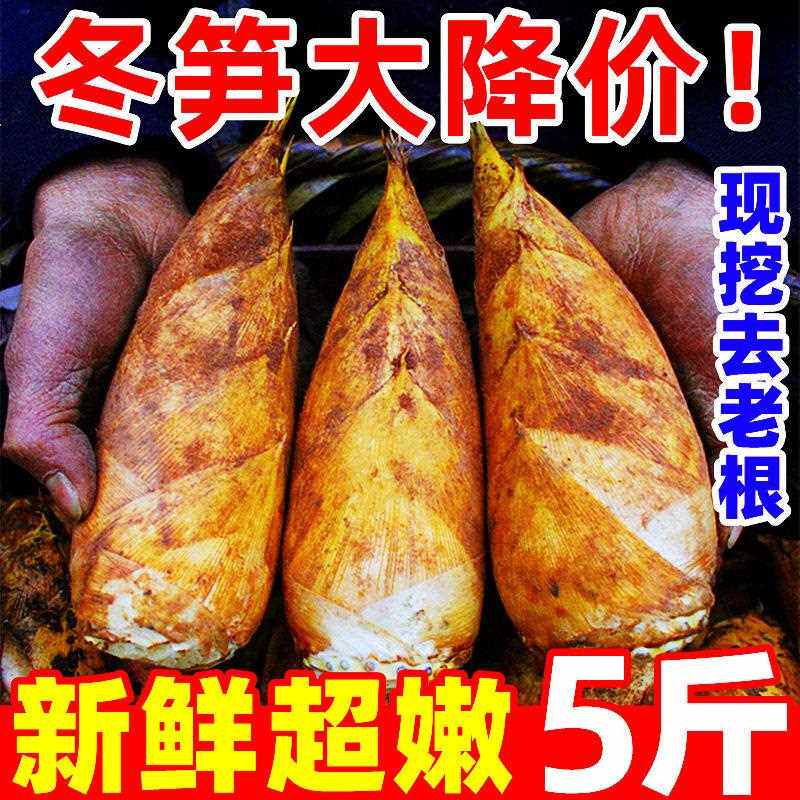 浙江临安冬笋新鲜现挖5斤特毛竹笋级鲜笋野春雷笋生冬笋马蹄甜笋