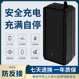 电动车电瓶车充电器48V12AH20AH60V72V30a爱玛台铃雅迪电车三轮车