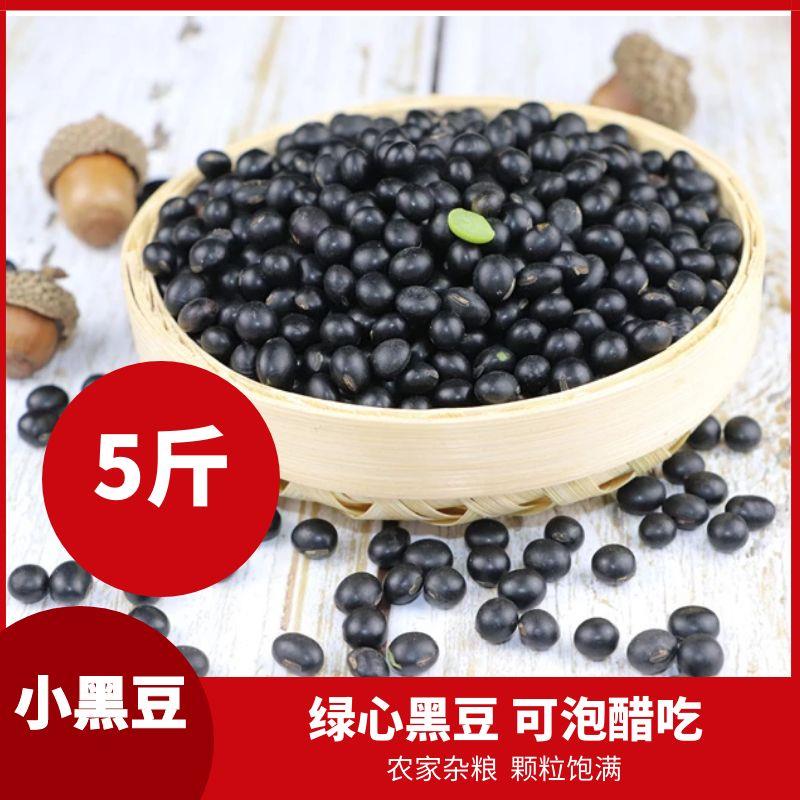 东北农家自产绿芯小黑豆5斤杂粮豆浆绿心醋泡青仁黑小豆