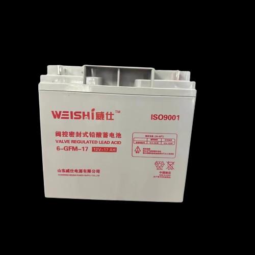 威仕蓄电池12V100ah全系列免维护铅酸计算机消防门禁太阳能发电站