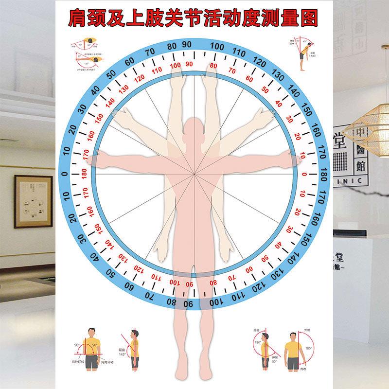 颈肩及上肢关节活动度测量图墙贴中医馆诊所医院装饰壁纸壁画 画