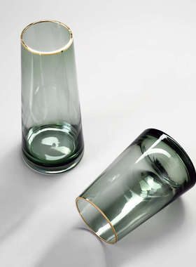 北欧轻奢vase玻璃金边透明花瓶摆件客厅插花水培餐桌装饰品花瓶