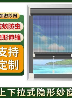 形蚊防纱窗推拉式伸缩折叠铝金合卫生间金刚网隐自装PFX家用沙窗