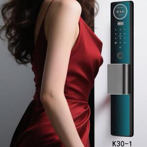 壹鹿有你乐想系列K30人脸识别智能锁 密码锁防盗门锁