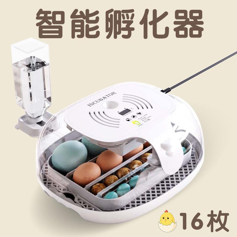 WONEGG16枚家用鸡蛋孵蛋器小鸡孵化养殖设备孵化器鹌鹑孵化机家禽