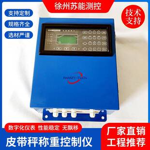 DL9902J K型皮带秤称重控制仪长期供应电子皮带螺旋秤称重控制