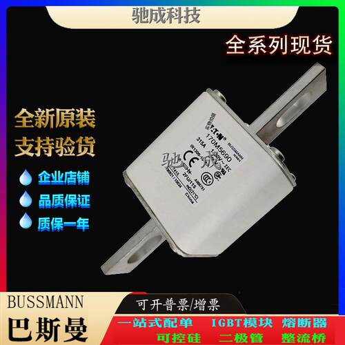 巴斯曼170M5649 170M5650 170M5658 厂家直供零售 快速熔断器
