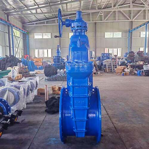 软密封伞尺轮闸阀大规格闸阀法兰球墨铸铁闸阀河北Z45X-16Q
