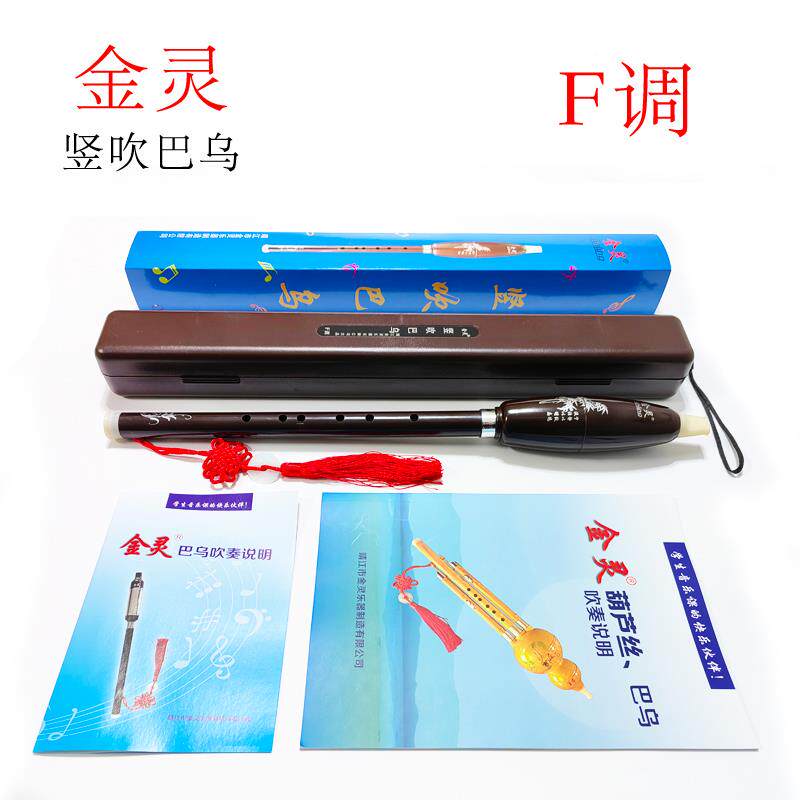 正品树脂巴乌C调降B调G调F调竖学吹生儿童教学成人初学者演奏乐器