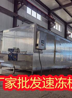 椰控子汁隧道速冻286机蔬  椰蓉椰肉隧道速冻设备温度可果速冻机