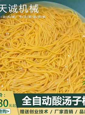 天诚牌小型商用酸汤子机东北小吃玉米面叉子条机