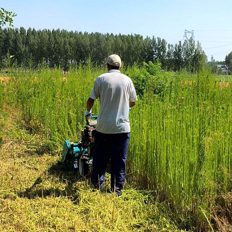 柴油电启动碎草还田机 自走式果园除草割草机 农作物秸杆粉碎机