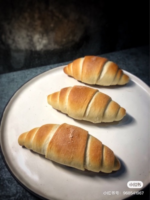 BALMUDA巴慕达烤箱怎么样老实讲一讲评测感受