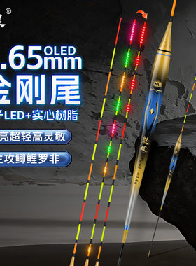OLED夜光变色电子鱼漂魅眼漂浮漂