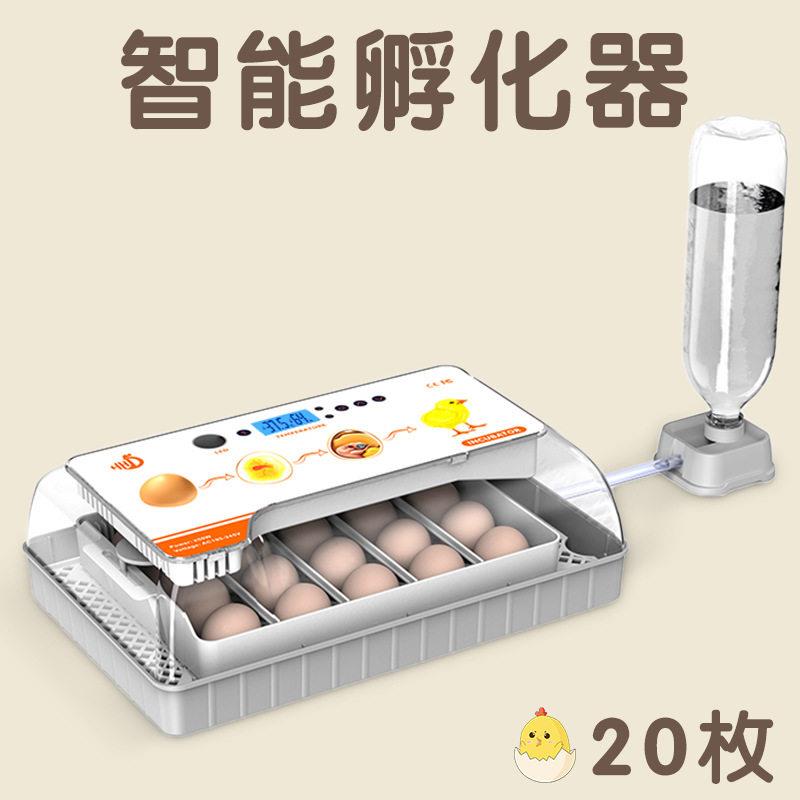 农场养殖小鸡孵化器孵蛋器鸽子孵化设备20枚鸡蛋孵化机鸡用温控
