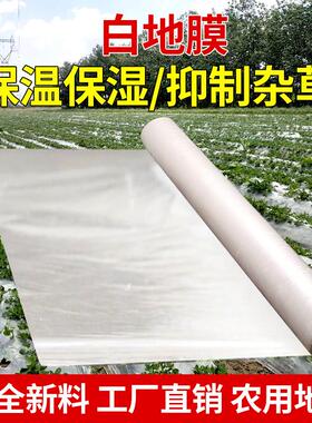 白色地膜果园农资蔬菜大棚薄膜保温保湿农用膜混凝土塑料薄膜
