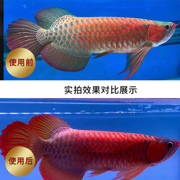 鱼缸灯led防水照明水族箱潜水灯水草灯龙鱼灯管专用三基色增艳,宠物/宠物食品及用品,照明器材,淘宝优惠券,粉丝福利购,淘宝优惠卷