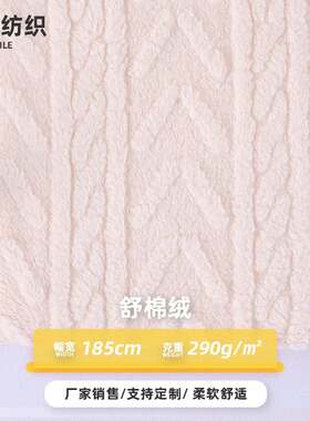 现货供应全涤单面舒棉绒提花布料290g秋冬保暖家居服睡衣毛毯面料