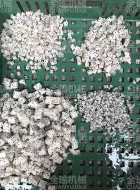 九寨沟柿子三维切丁机油柿切果粒机山柿切块机新鲜柿子分粒丁机器