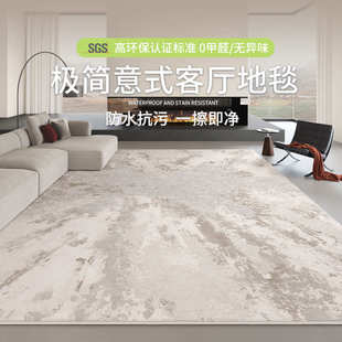 极简地毯客厅2025新款 意式 免洗耐脏易打理卧室高级沙发家用地垫