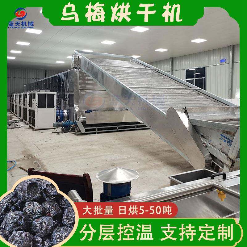 网带乌梅烘干机大型履带式乌梅肉乌梅干烘干线全自动黑梅干燥机