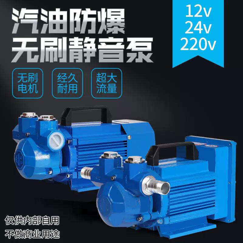 卡维特汽油防爆抽油泵12V24V220V车载加油机导油泵