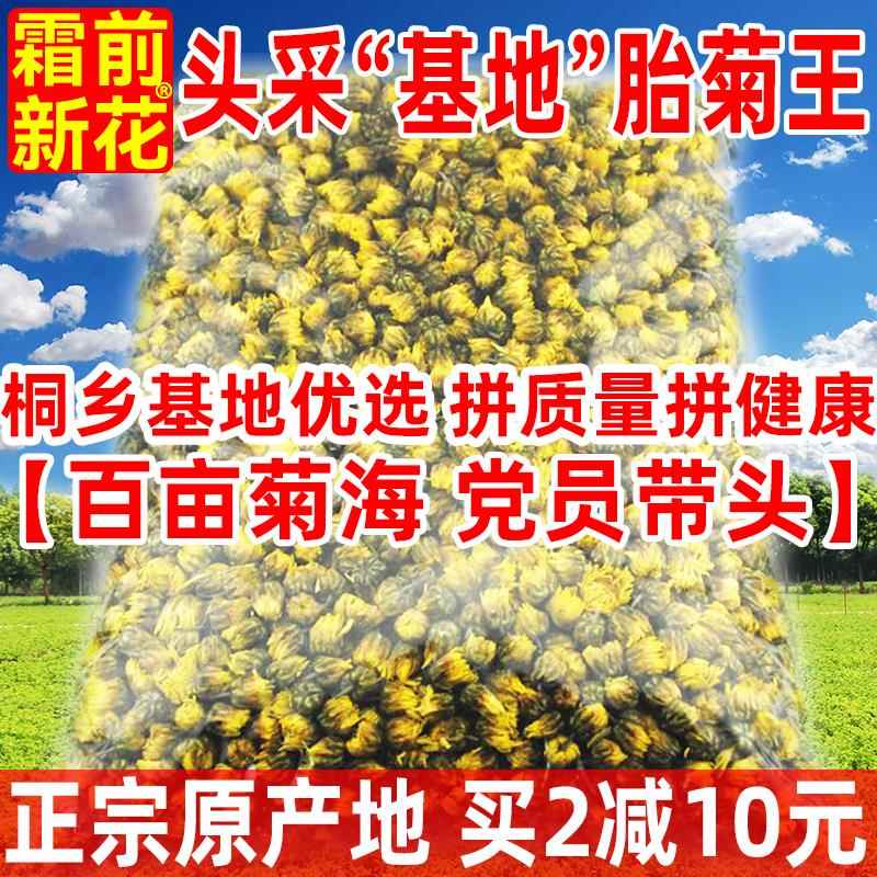 【基地胎菊王】正宗头采桐乡胎菊正品杭白菊贡菊花茶散装250g无硫